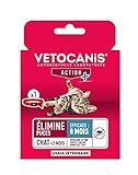 Vetocanis - Collar antipulgas de Dimpilato para Gatos